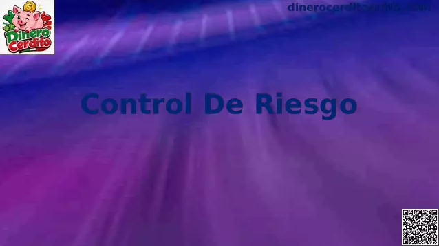 Control de Riesgo Dinero Cerdito