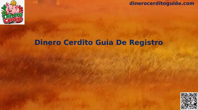 Guía de Registro Dinero Cerdito en México